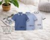 Ảnh của Áo thun polo Leaz cá sấu cotton dáng Regular LEZPO_CSR10