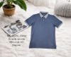 Ảnh của Áo thun polo Leaz cá sấu cotton dáng Regular LEZPO_CSR14